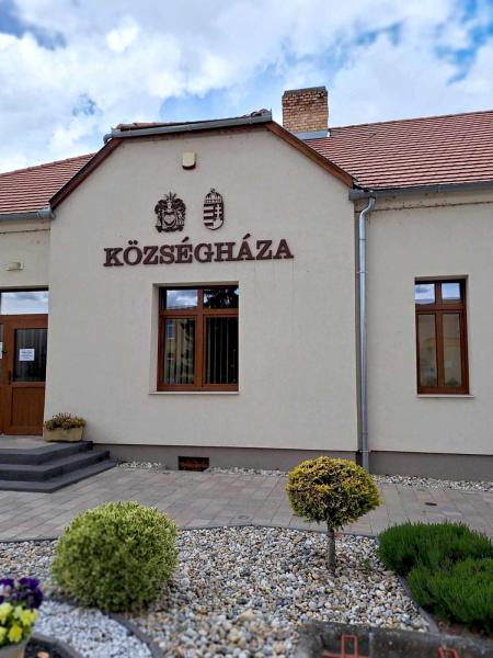 buzsak46.jpg